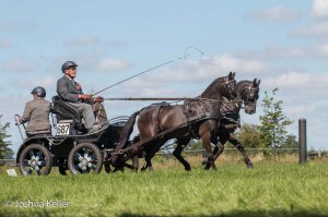 dressuur en vaardigheid  nienoord 10-8-2015  joshua keller-0508        